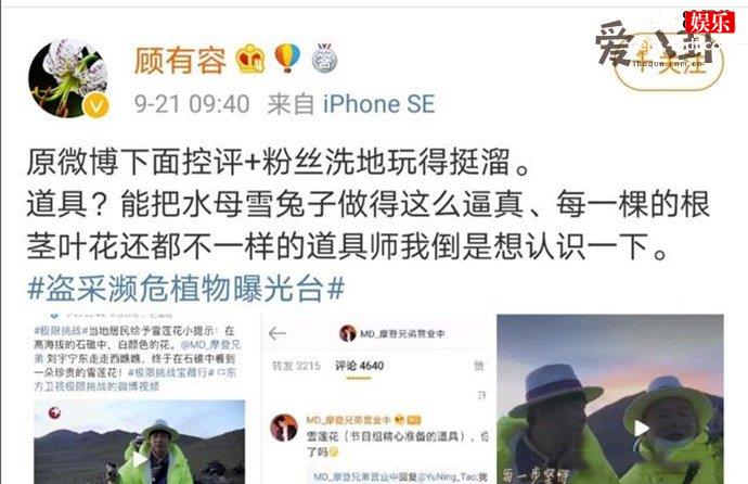 极挑嘉宾摘国家二级保护植物