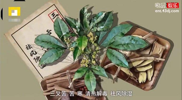 中药示意图
