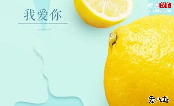 柠檬精什么意思
