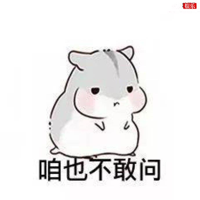 咱也不敢问是什么梗