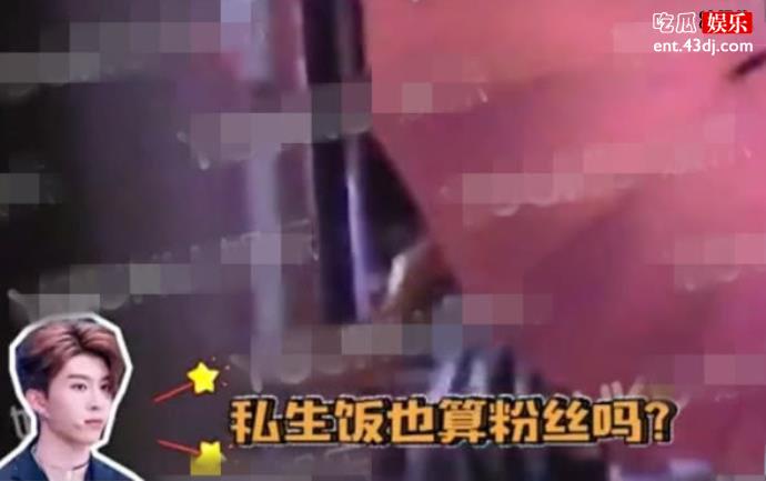 私生饭是什么意思