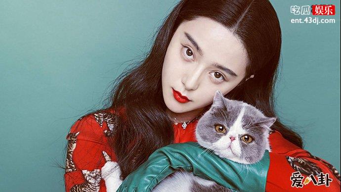 范冰冰又做错了什么让粉丝如此怒怼