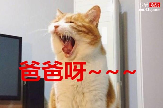情侣间也会让另一半叫爸爸