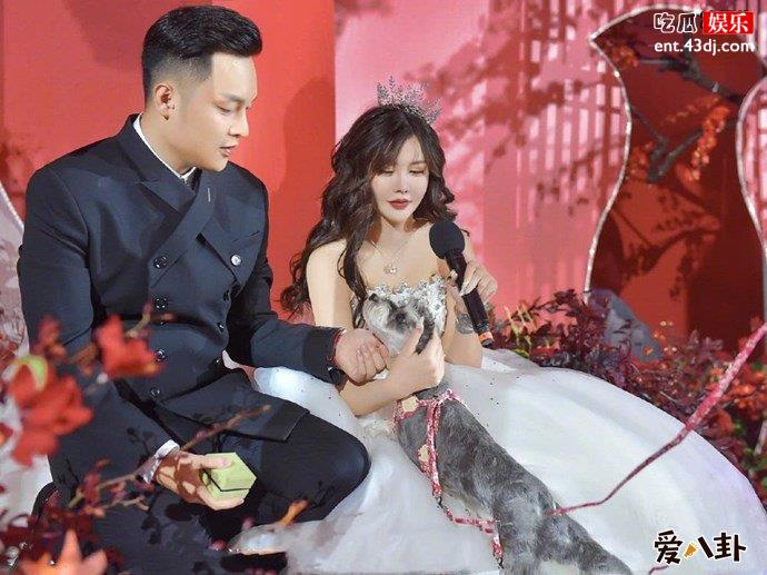 韩安冉与小猪结婚照