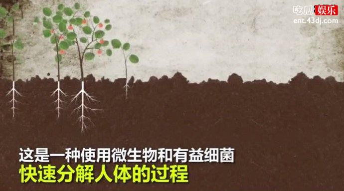人类遗体堆肥葬动画图解