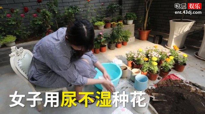 女孩买20箱尿不湿种花