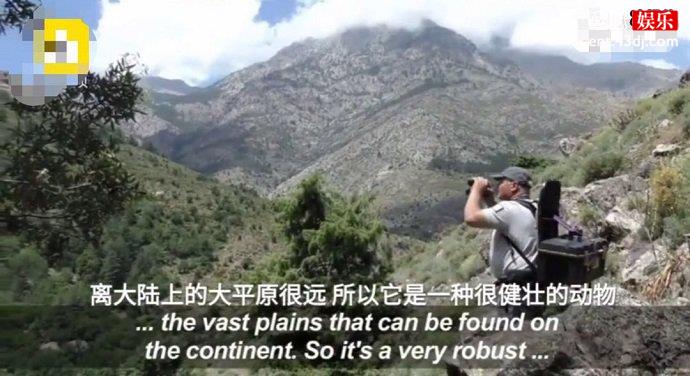 这个物种生存的地区