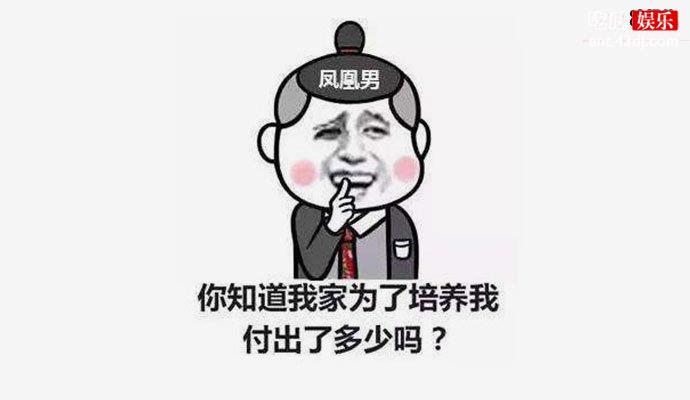 凤凰男是什么意思