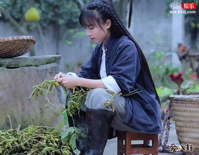 李子柒怎么走红的