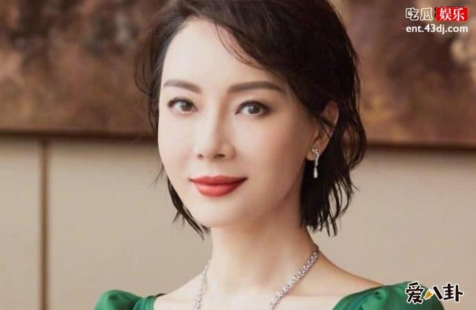 斯黛拉扮演陈数