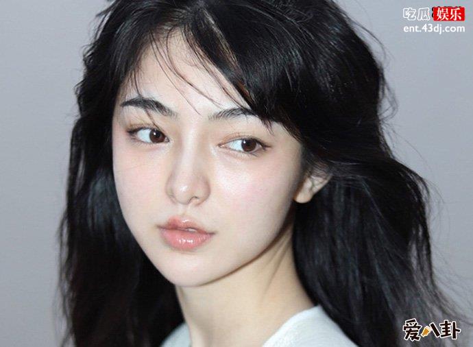 参考半藏深林是什么梗