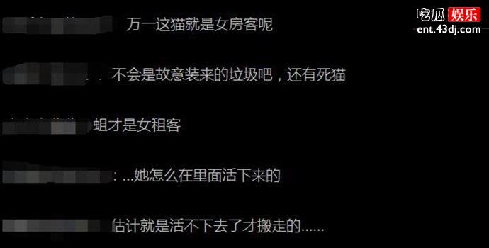 房内甚至有一只死猫