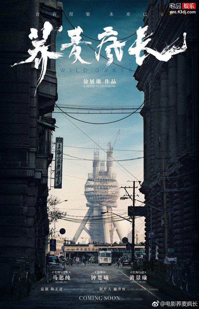 《荞麦疯长》电影讲的什么