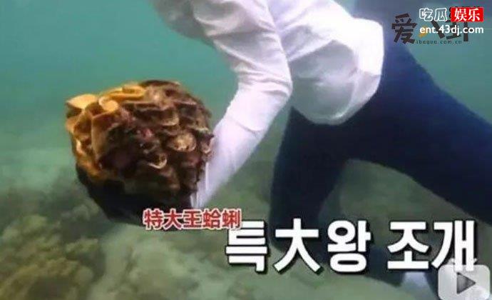 李烈音或被判5年