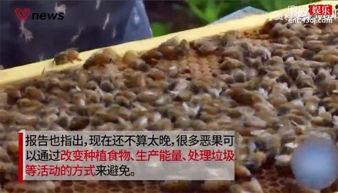 100万物种面临灭绝