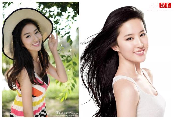 杨采钰陈金飞结婚