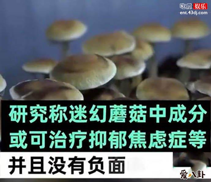 食用迷幻蘑菇是变相吸毒是怎么回事