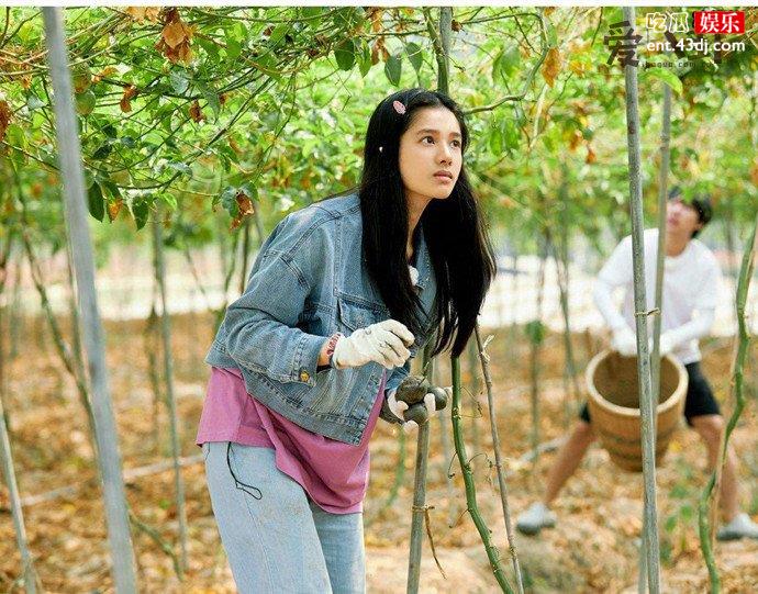 张婧仪个人资料