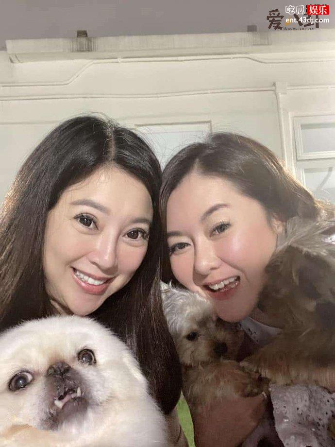 香港小姐陈淑兰