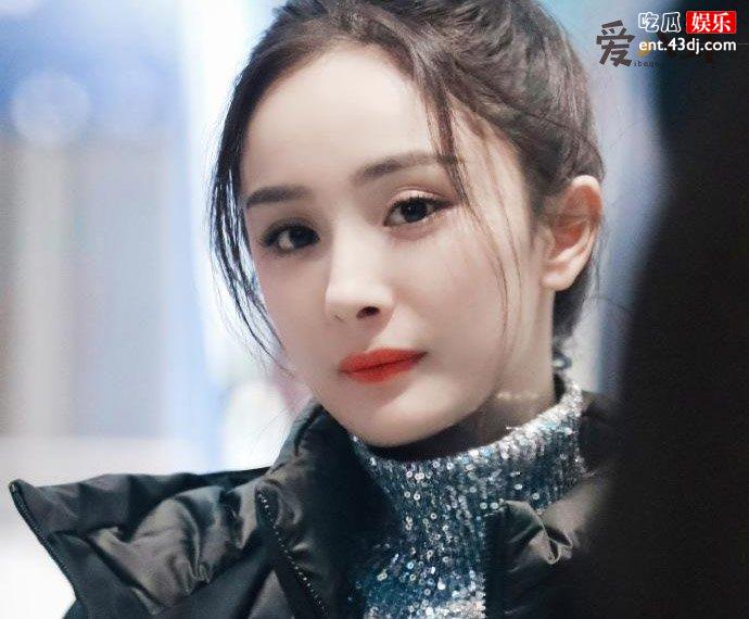 杨幂赵文卓关系如何