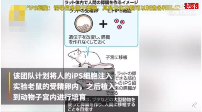 或将解决人体移植问题