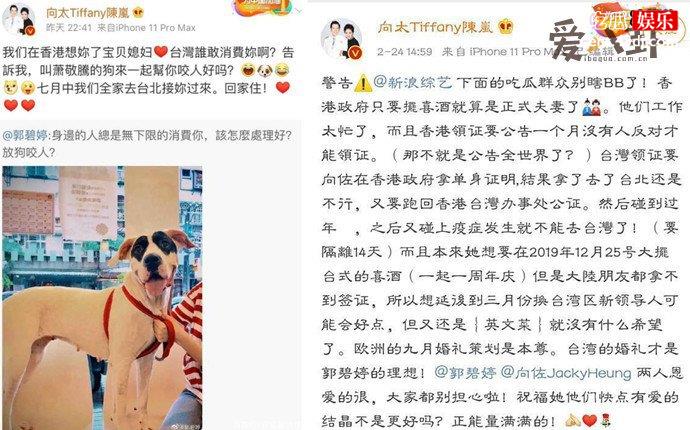 向太安慰郭碧婷