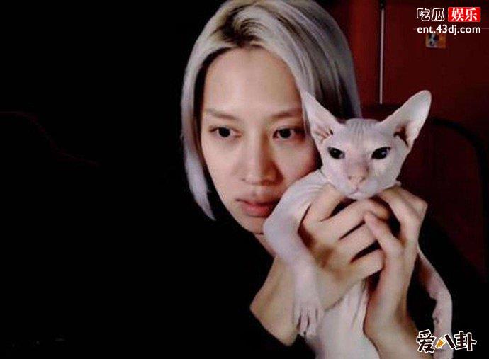 金希澈收养雪莉的猫 