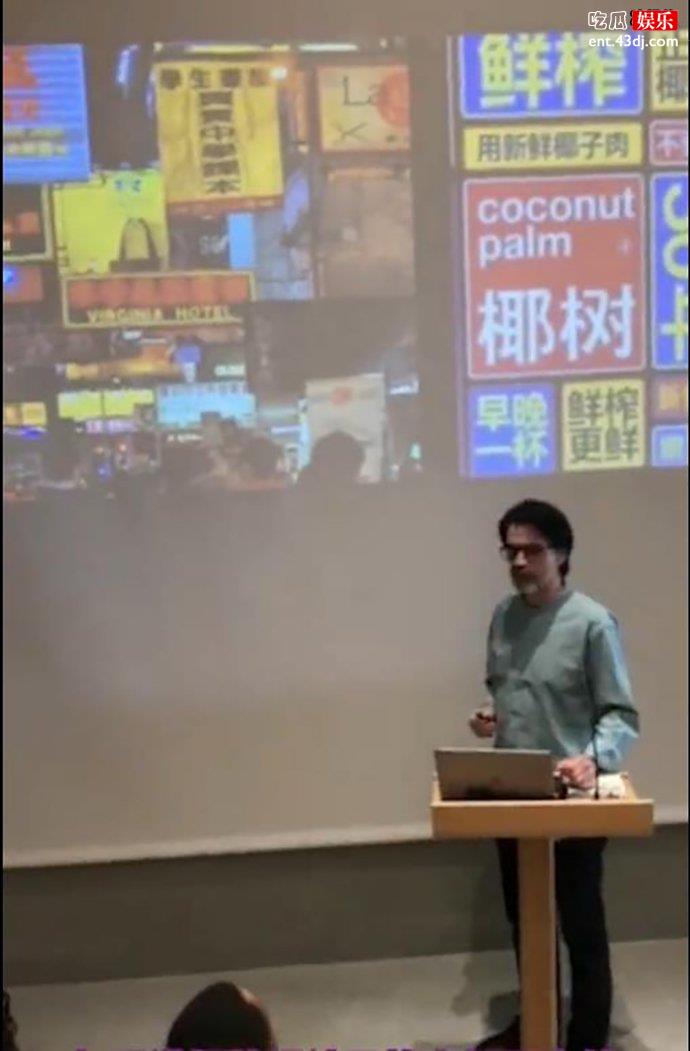 老外分析椰树