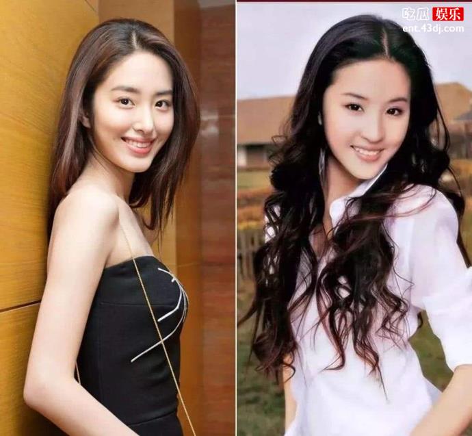 杨采钰陈金飞领证