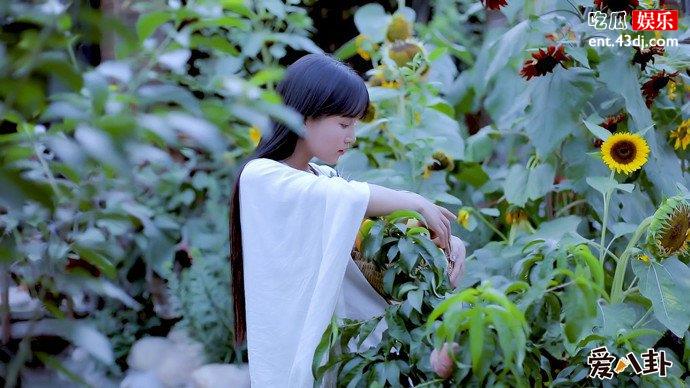 李子柒写真