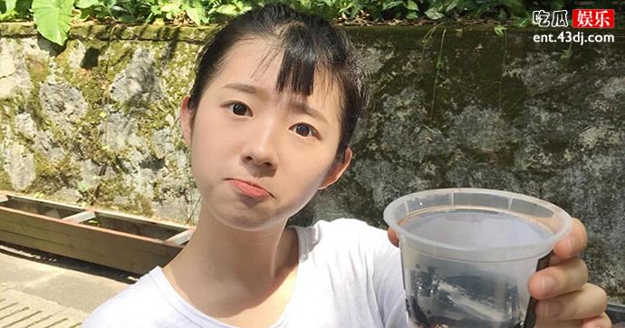 何蓝逗是怎么走红的