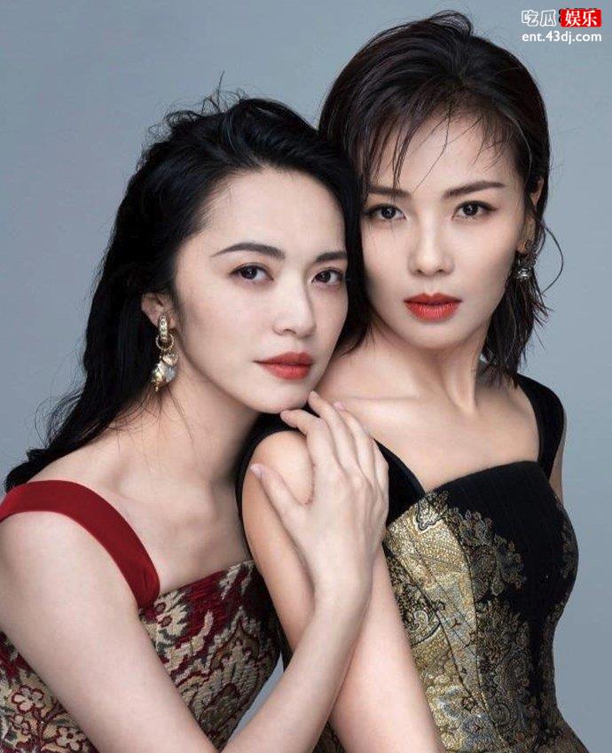 刘涛姚晨罕见同框