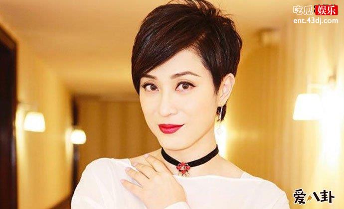 陈法蓉为什么不结婚