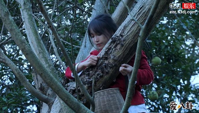 李子柒家到底住在哪里