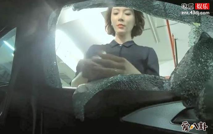 斯黛拉砸车搜证据