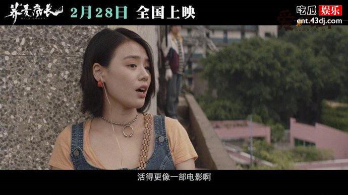 马思纯主演荞麦疯长