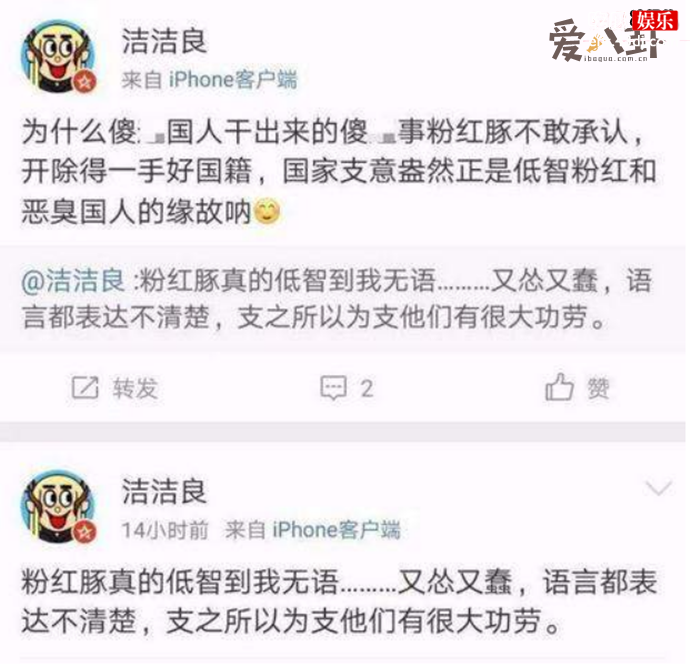 粉红豚是什么意思