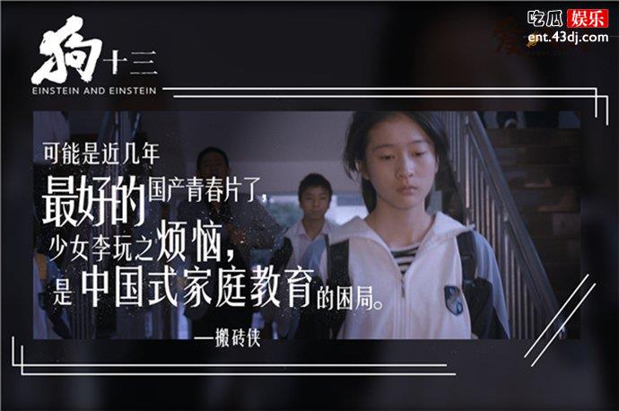 《狗十三》主要讲的什么