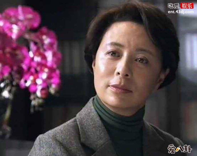 巍子老婆是刘佳的原因