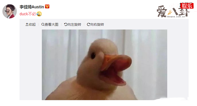 duck不必是怎么火起来的