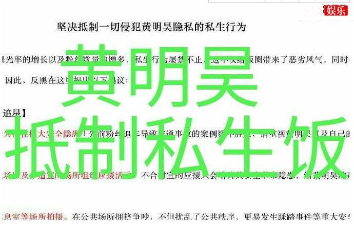 私生饭是什么意思