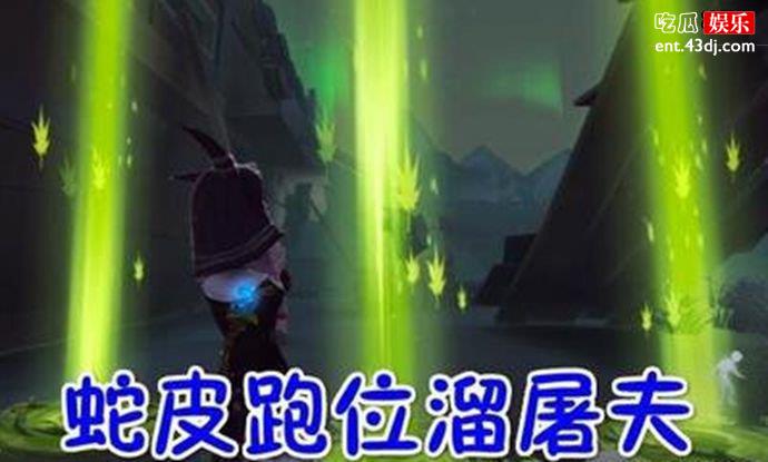 蛇皮含义