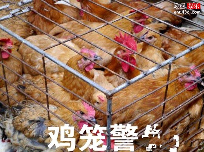 把你塞进鸡笼