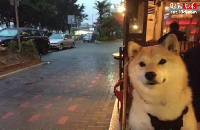 七夕又是一个人过？