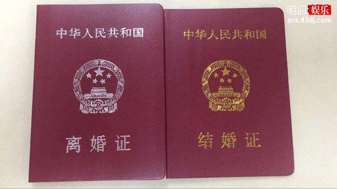 民政部公开了去年离婚的人数