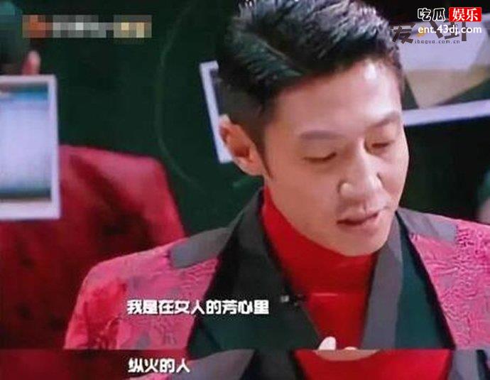 芳心纵火犯出自哪个综艺
