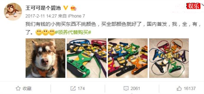 王思聪可可