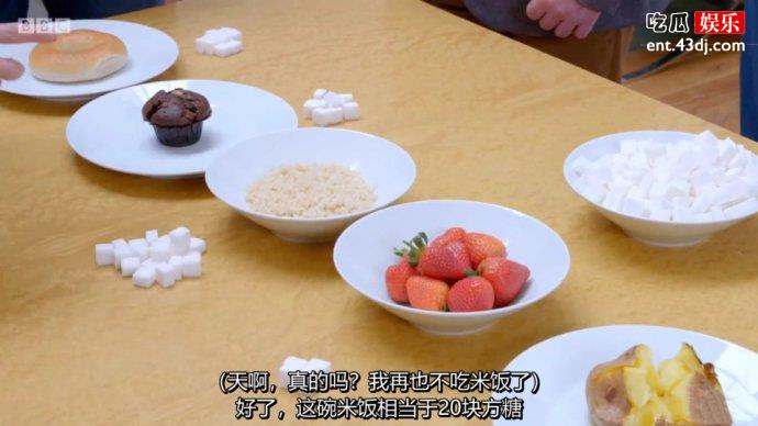 BBC纪录片