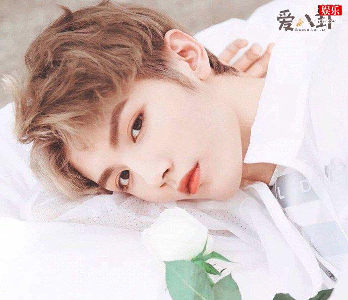 灵超张雅钦恋爱是怎么回事