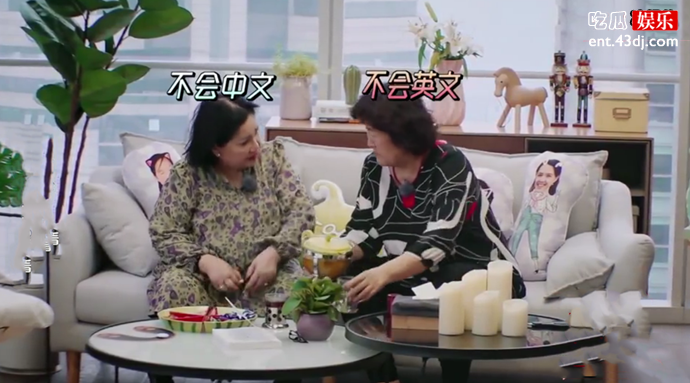 钟丽缇妈妈和张伦硕妈妈交流